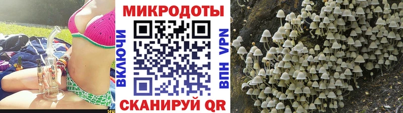 Псилоцибиновые грибы GOLDEN TEACHER Купить закладки Сорочинск
